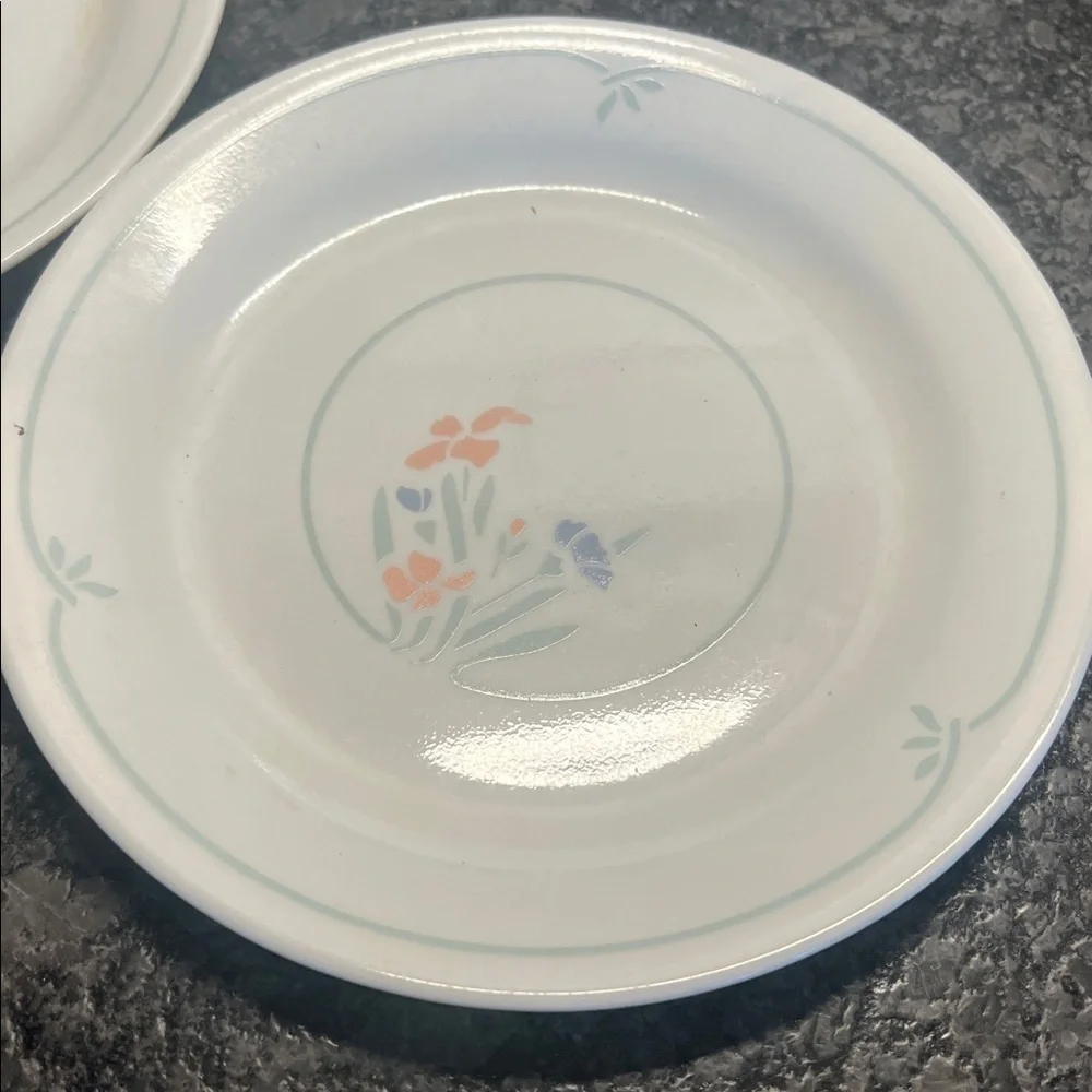 Corelle these are